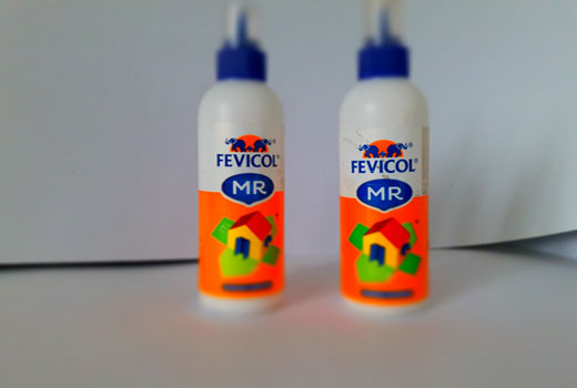 Fevicol